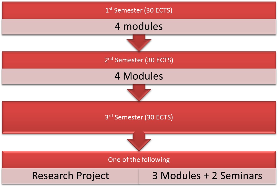 MFW degree structure en